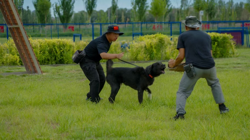 mmexport1754119047186